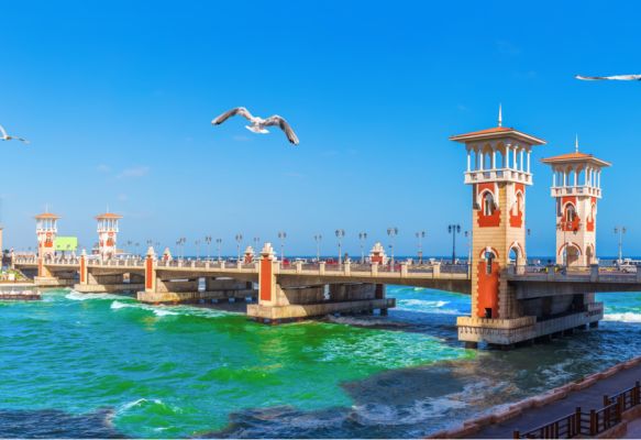 alexandria 1